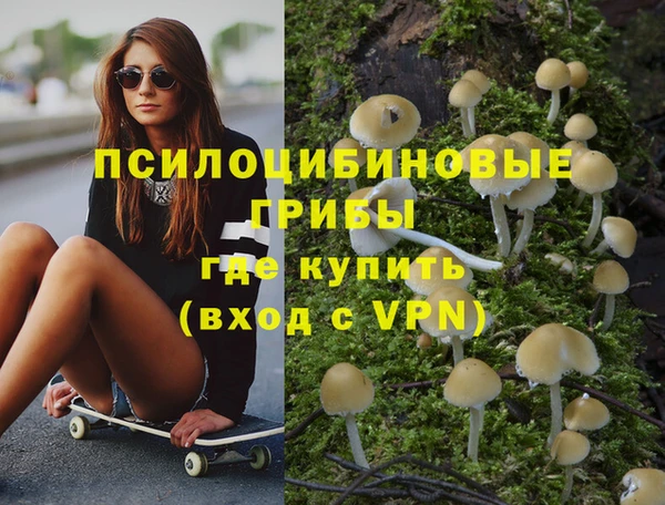 гидропоника Алексеевка