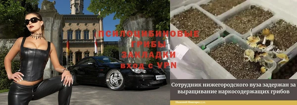 гидра Алзамай