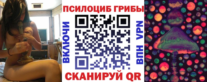 Псилоцибиновые грибы мицелий  наркотики  мега   Алзамай 