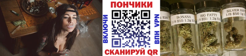 как найти наркотики Алзамай Бошки Шишки марихуана
